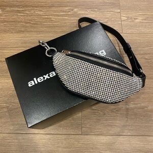 Alexander Wang Attica Mini Fanny